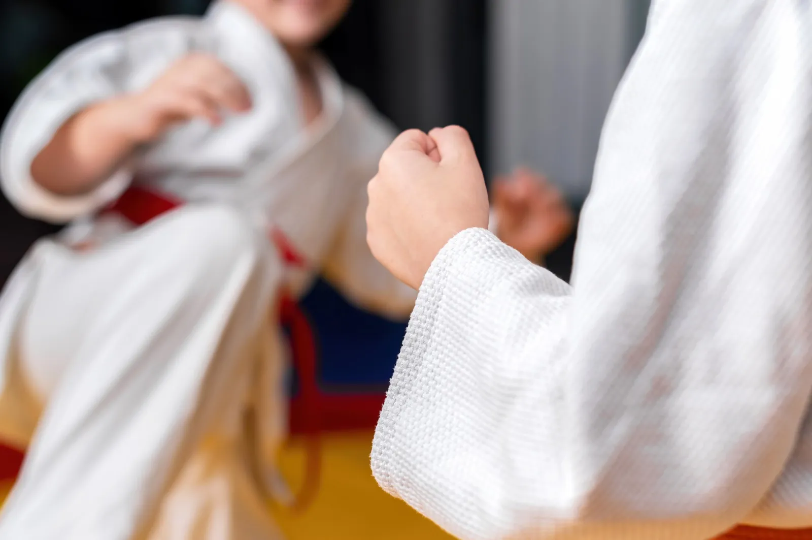 Welcome to The Sport Karate Center